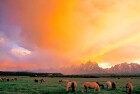 Grand Teton Lodge Company